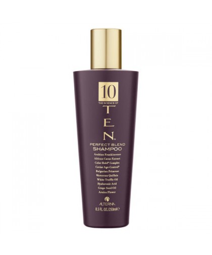 Ten Perfect Blend Shampoo 250ml Ten Perfect Blend Shampoo 250ml