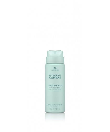 Alterna My Hair My Canvas Another Day Dry Shampoo 57g