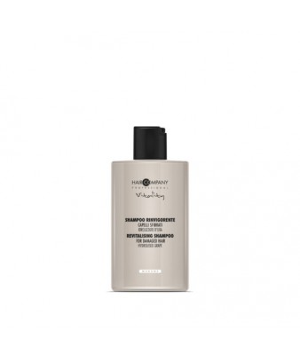 Hair company Vitality damaged hair shampoo 300ml