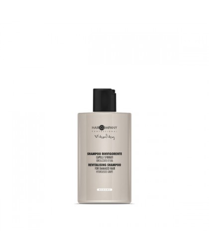 Hair company Vitality damaged hair shampoo 300ml