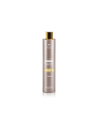 Hair company Multiaction co-wash 250ml