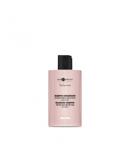 Hair company Dry hair balance shampoo 300ml