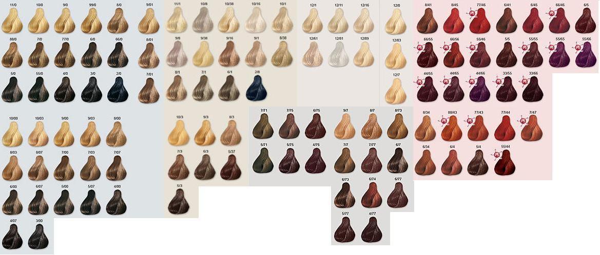 CARTELLA COLORE CARTELLA COLORE