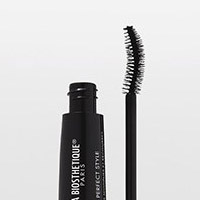 PERFECT MASCARA